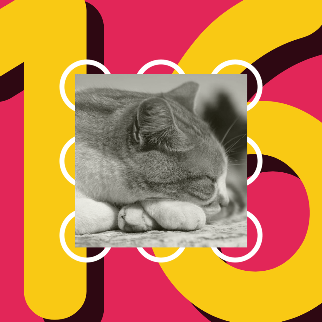 16 Days: Get Some&nbsp;Sleep